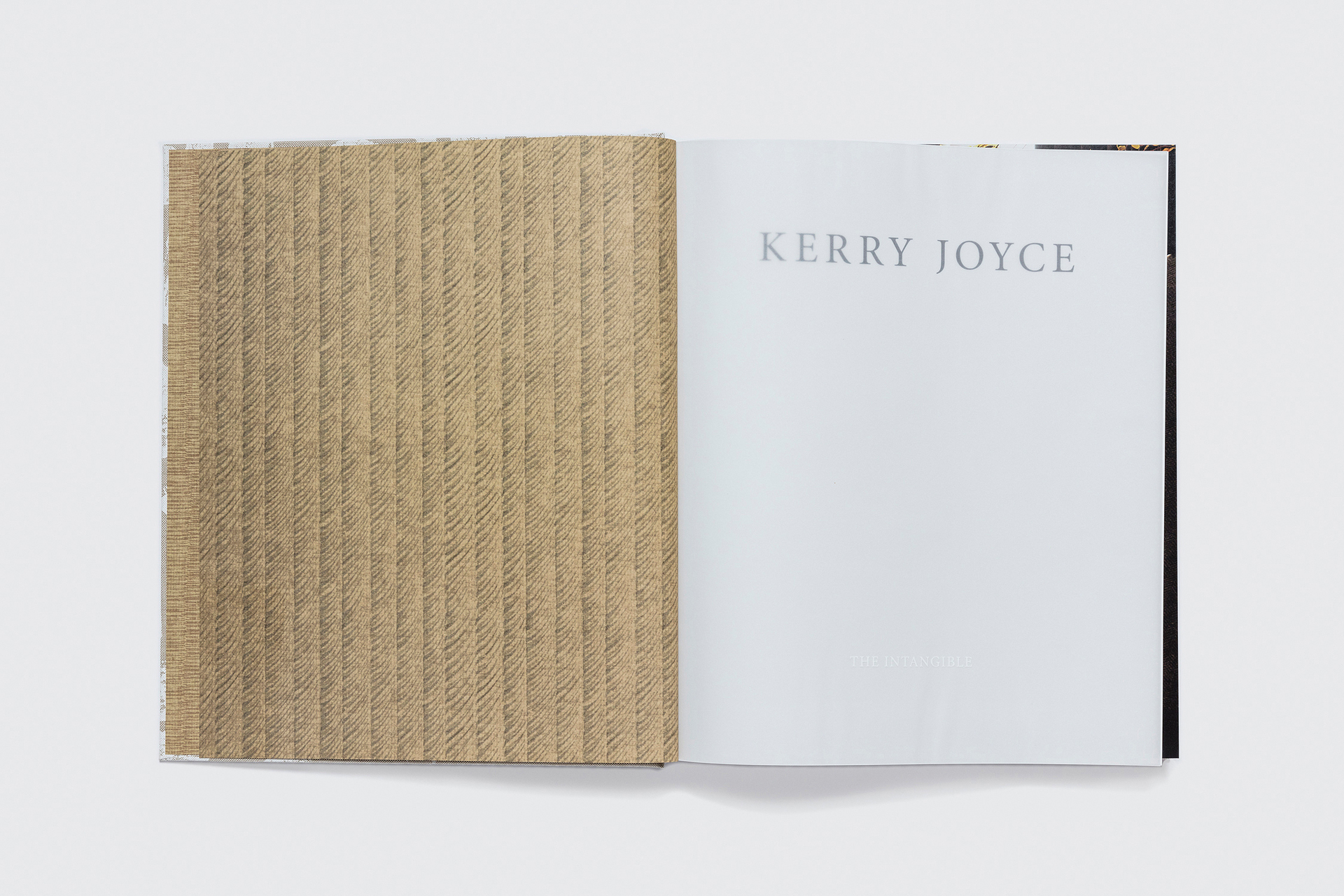 Kerry Joyce: The Intangible